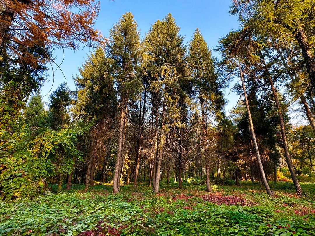 The Botanical Garden-阿拉木图必去景点