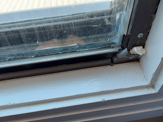 皇家展览馆宾馆主图