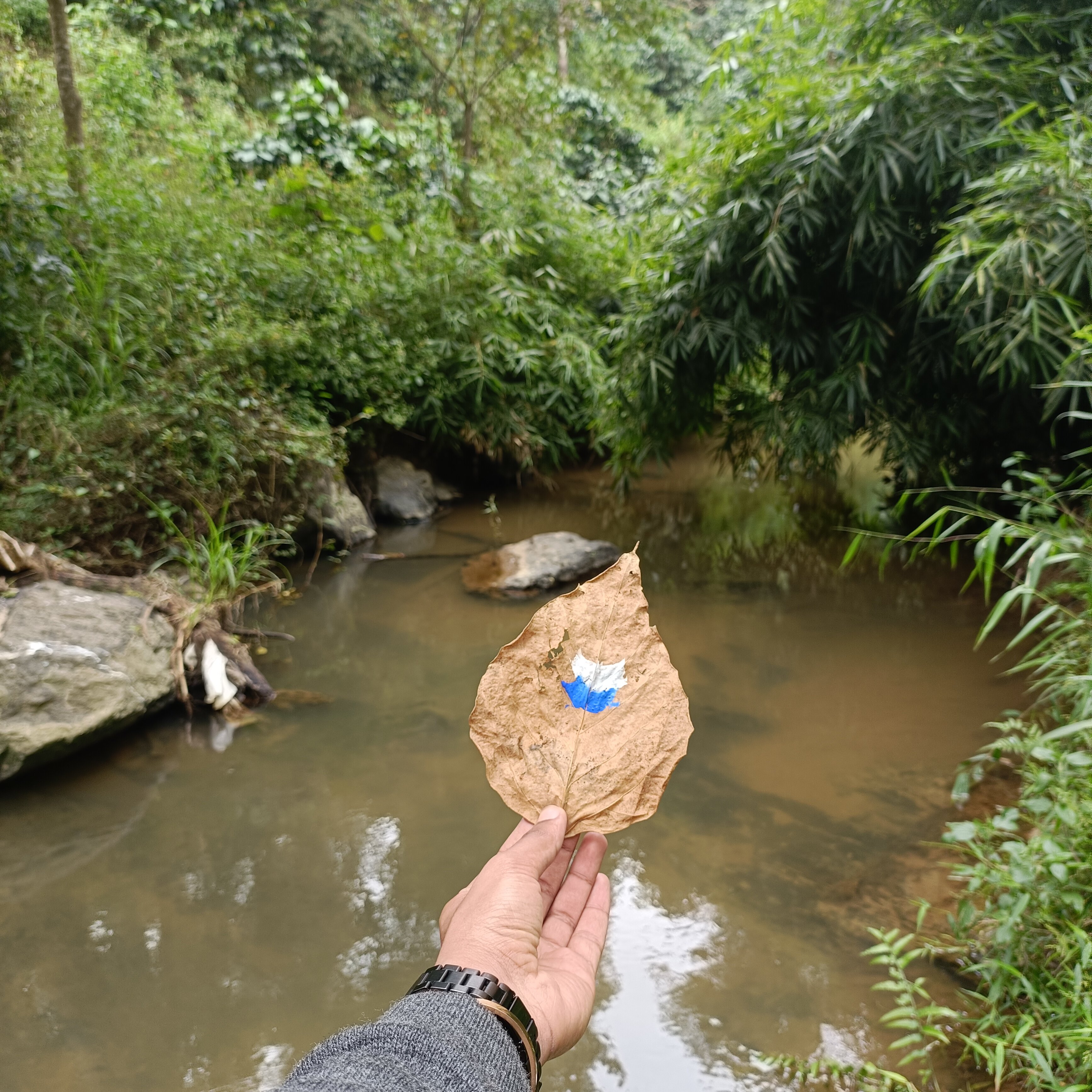 Kingmaker's Plantation With River Stream-官方