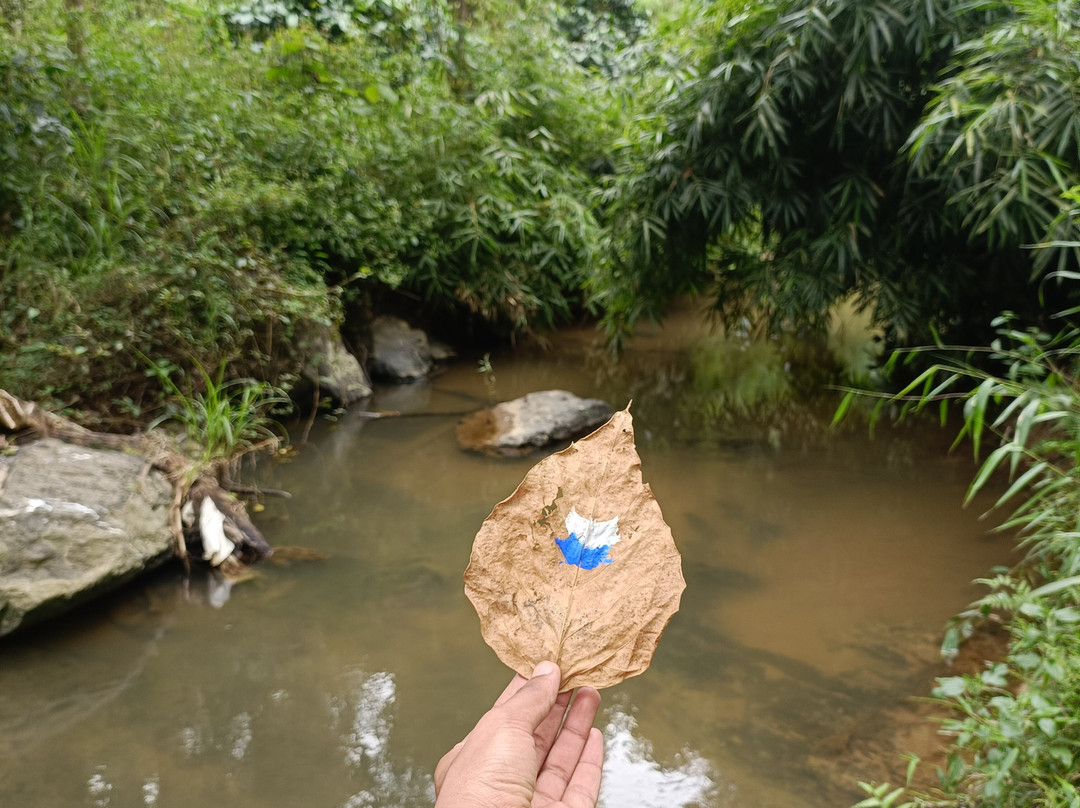 Kingmaker's Plantation With River Stream主图