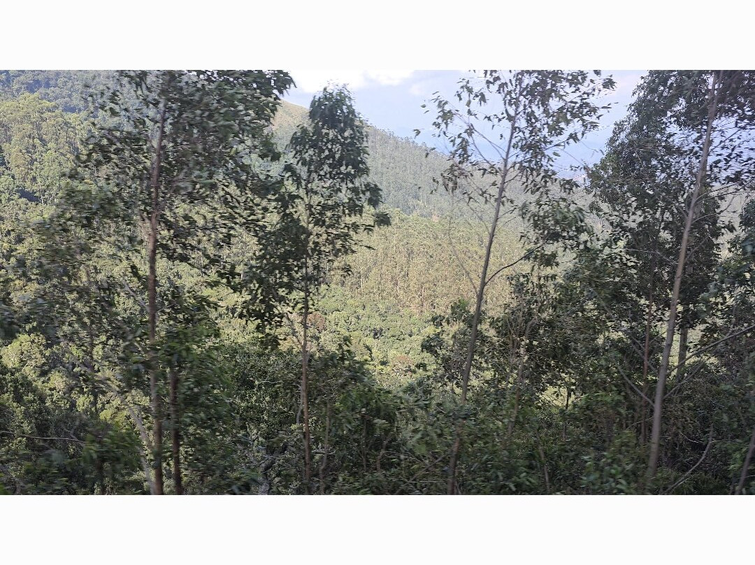 Train Tours-埃勒必去景点