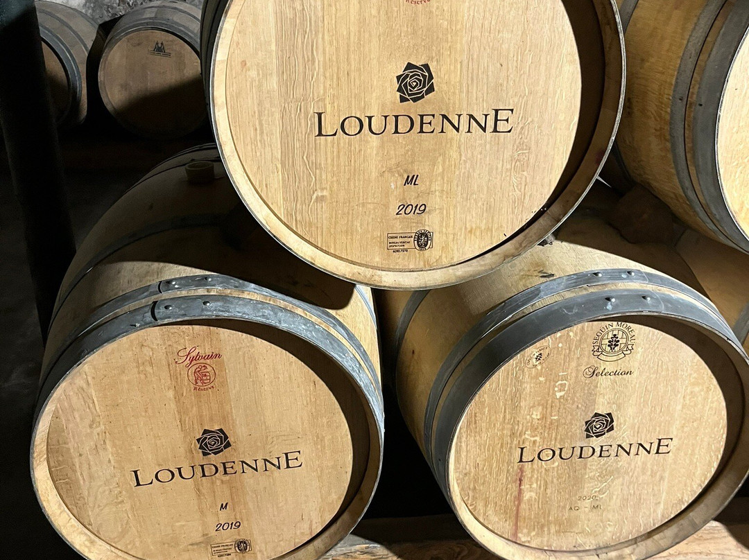 Chateau Loudenne景点图片