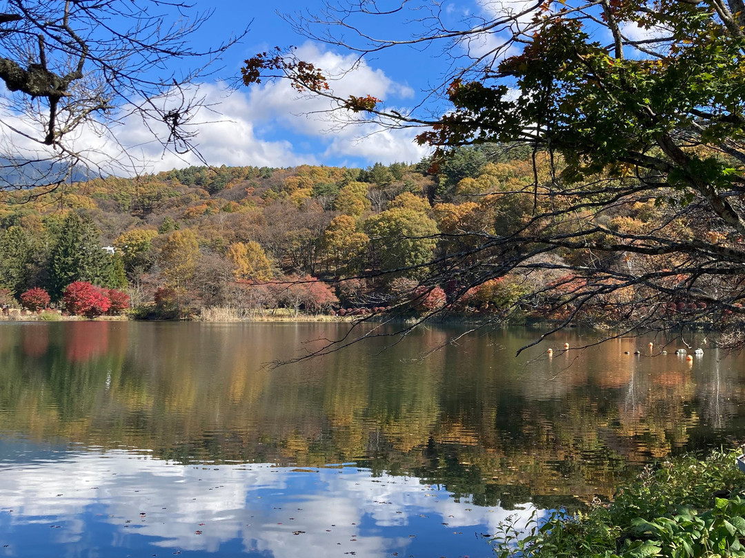 Tateshina Lake-茅野市必去景点