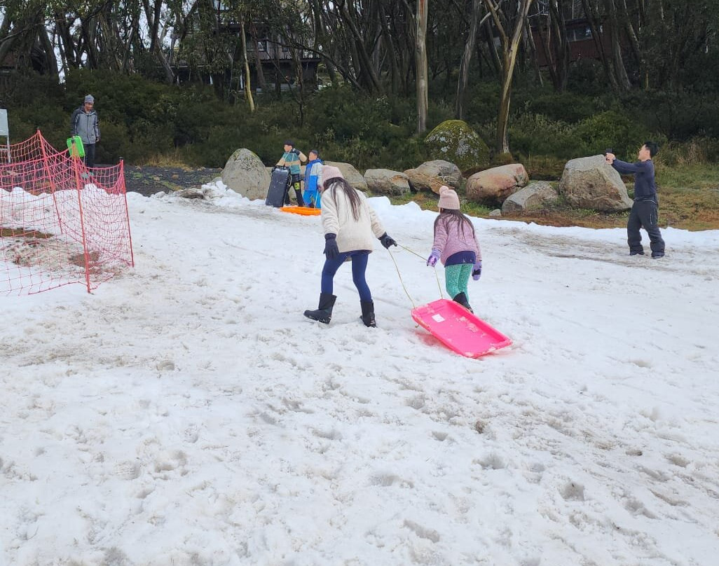 Mount Baw Baw Alpine Resort-Mount Baw Baw必去景点