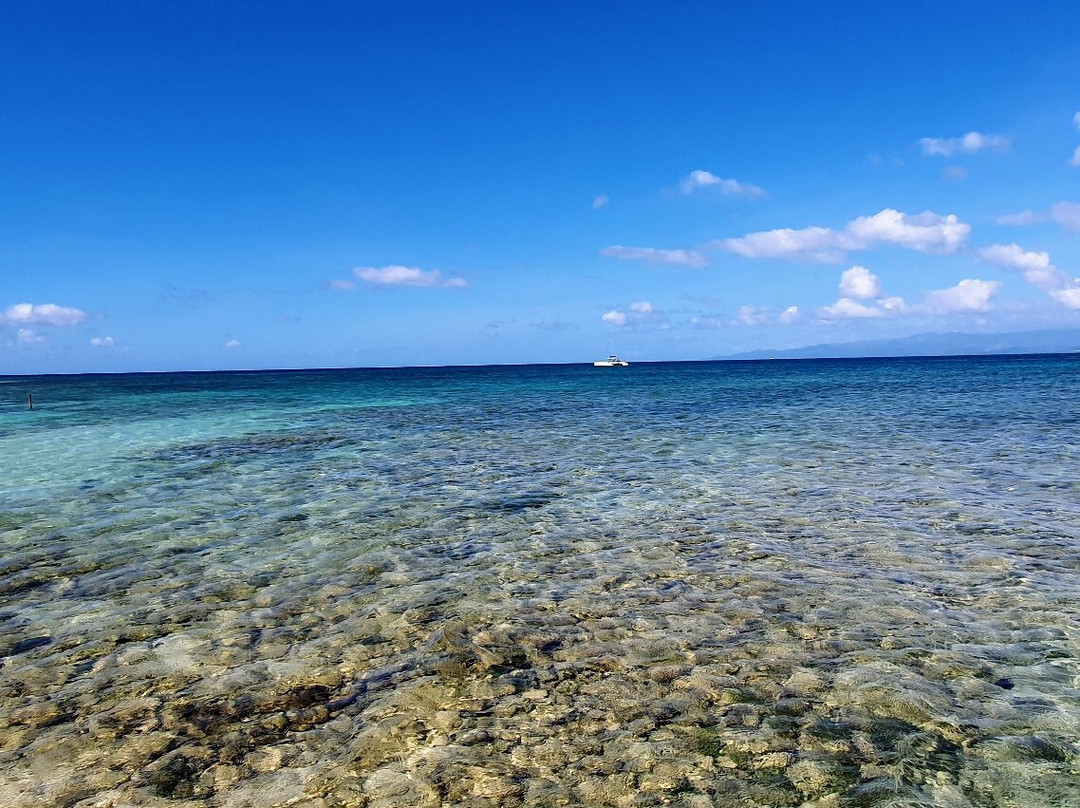 Cayo Blanco景点图片