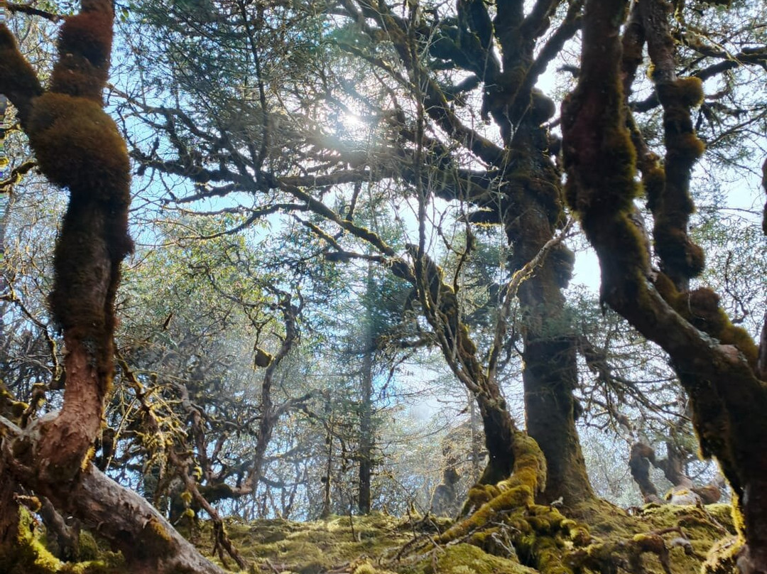 Rolwaling Valley-Charikot必去景点