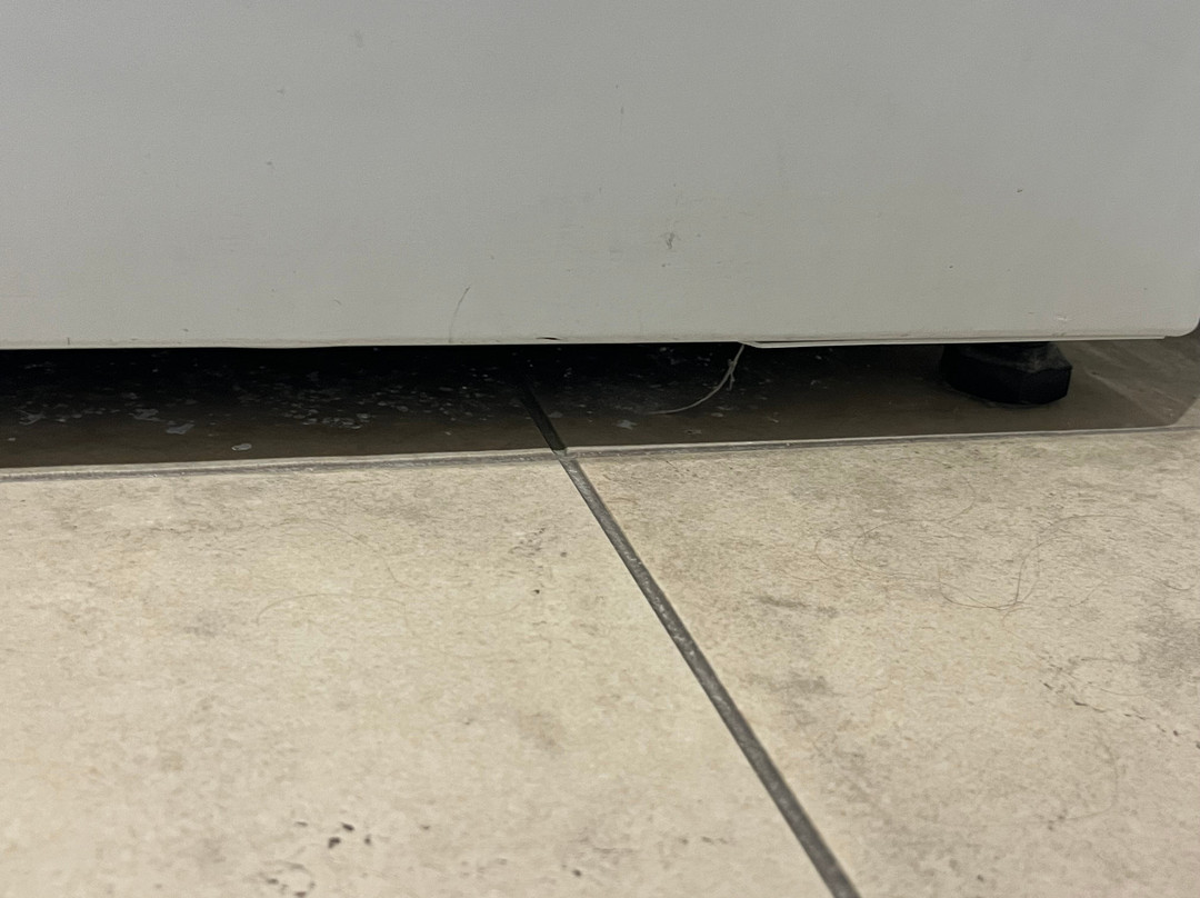 Adara Richmond主图