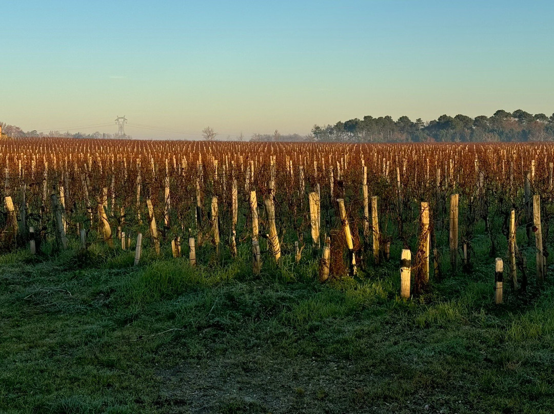 Domaine de Larchey主图