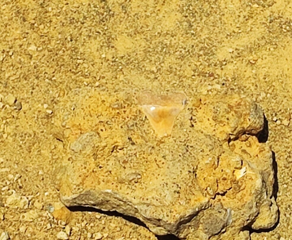 Parque Paleontologico De Caldera-Caldera必去景点