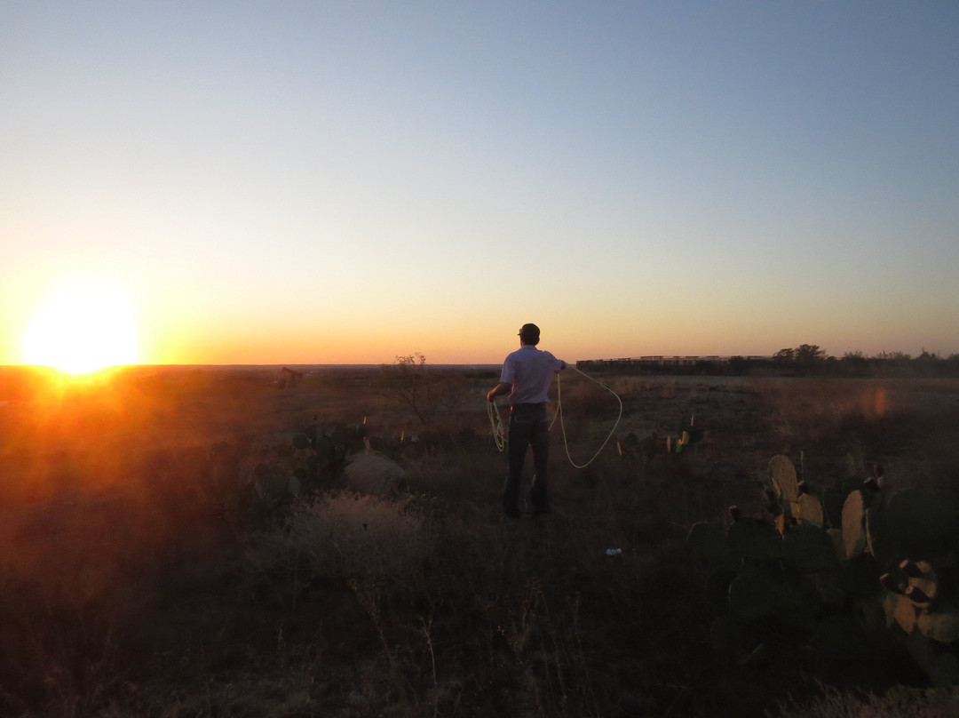 迪凯特希尔顿恒庭旅馆&套房酒店主图