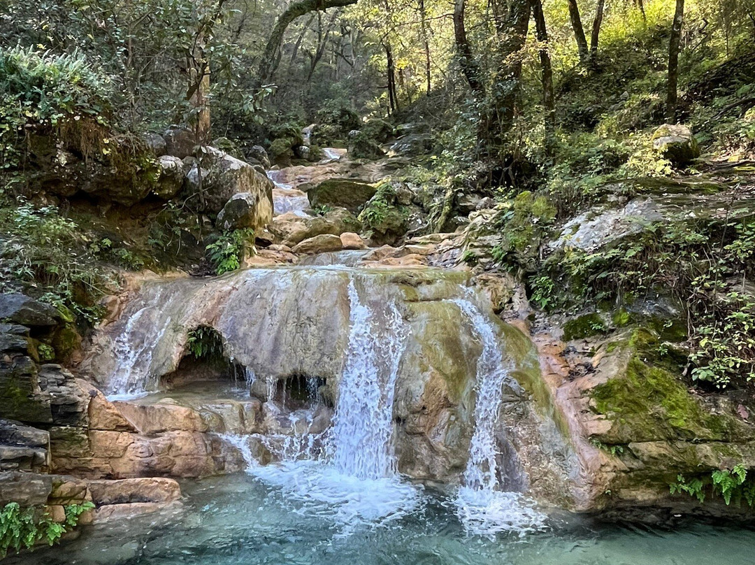 Parque Natural La Estanzuela景点图片