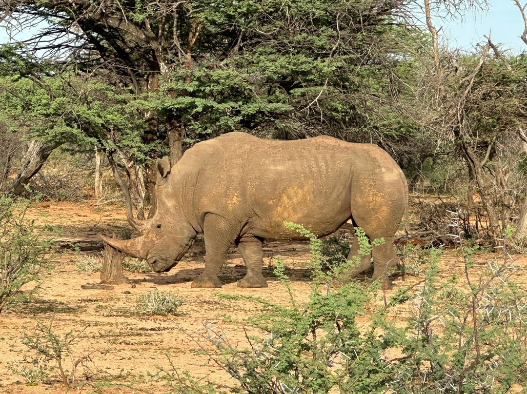Okonjima Game Reserve-Waterberg Plateau Park必去景点