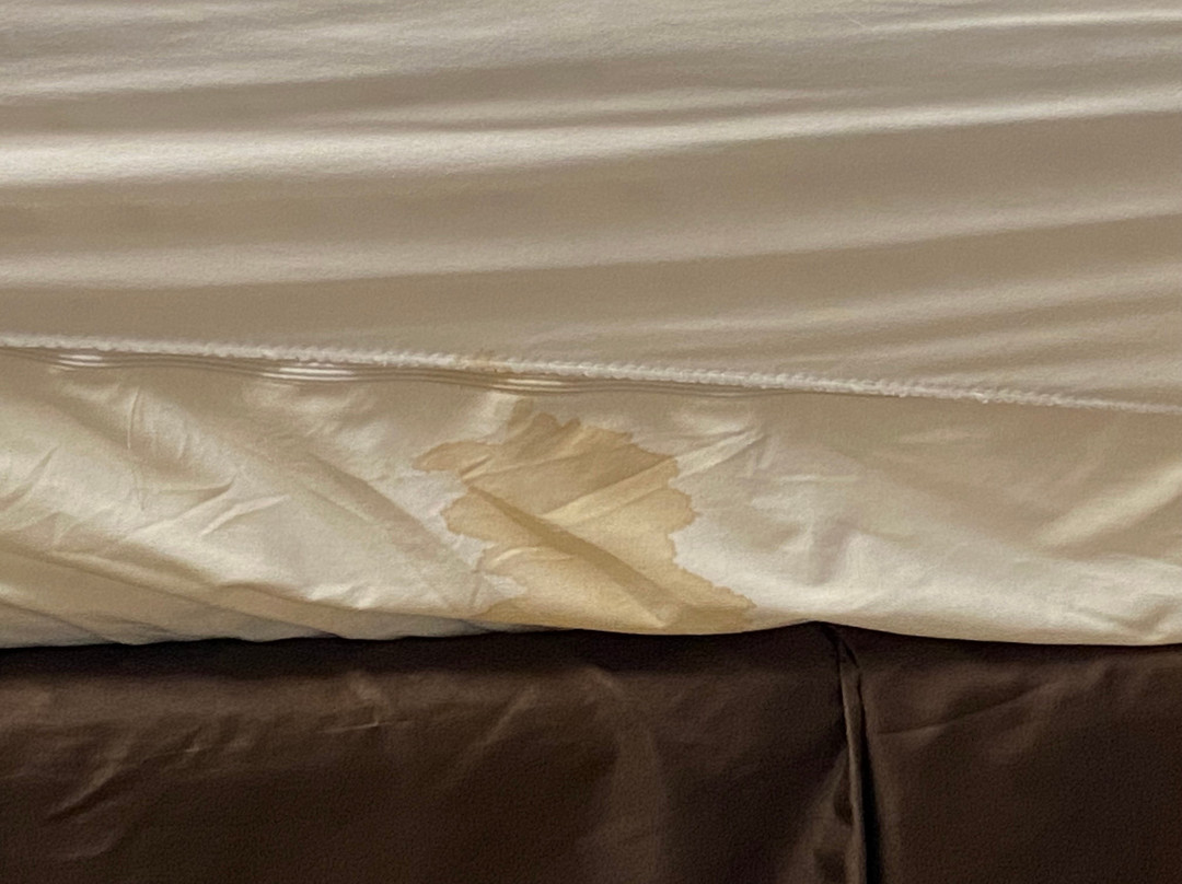 Microtel Inn & Suites by Wyndham Cambridge主图