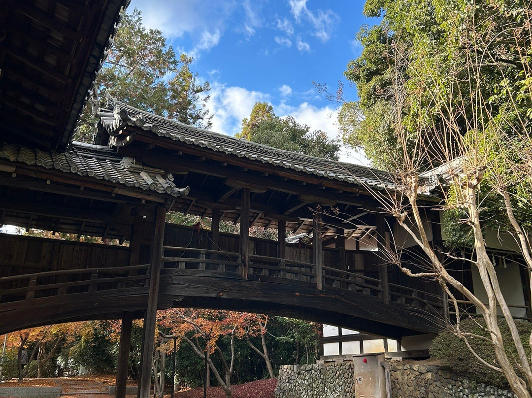 Muko Shrine-向日市必去景点