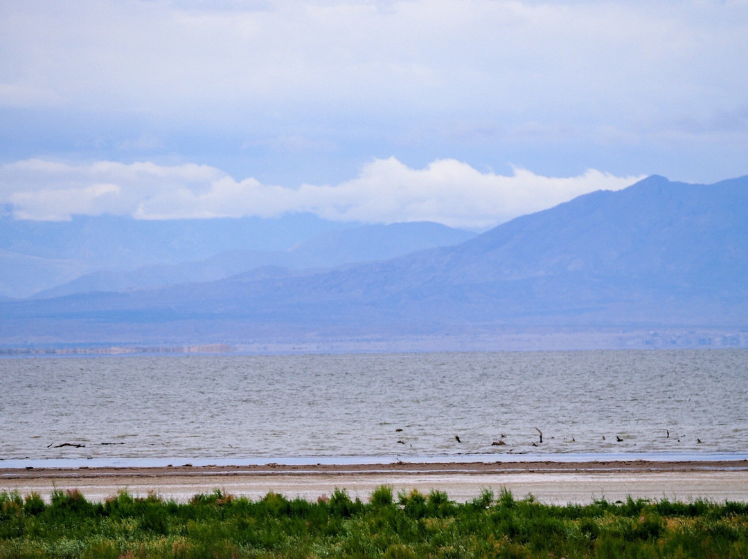Sonny Bono National Wildlife Reserve-Calipatria必去景点