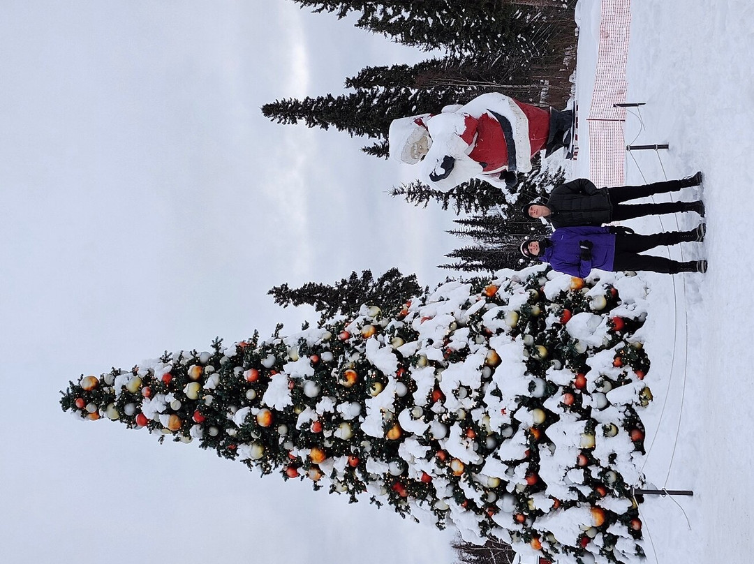 圣诞老人村-北极必去景点