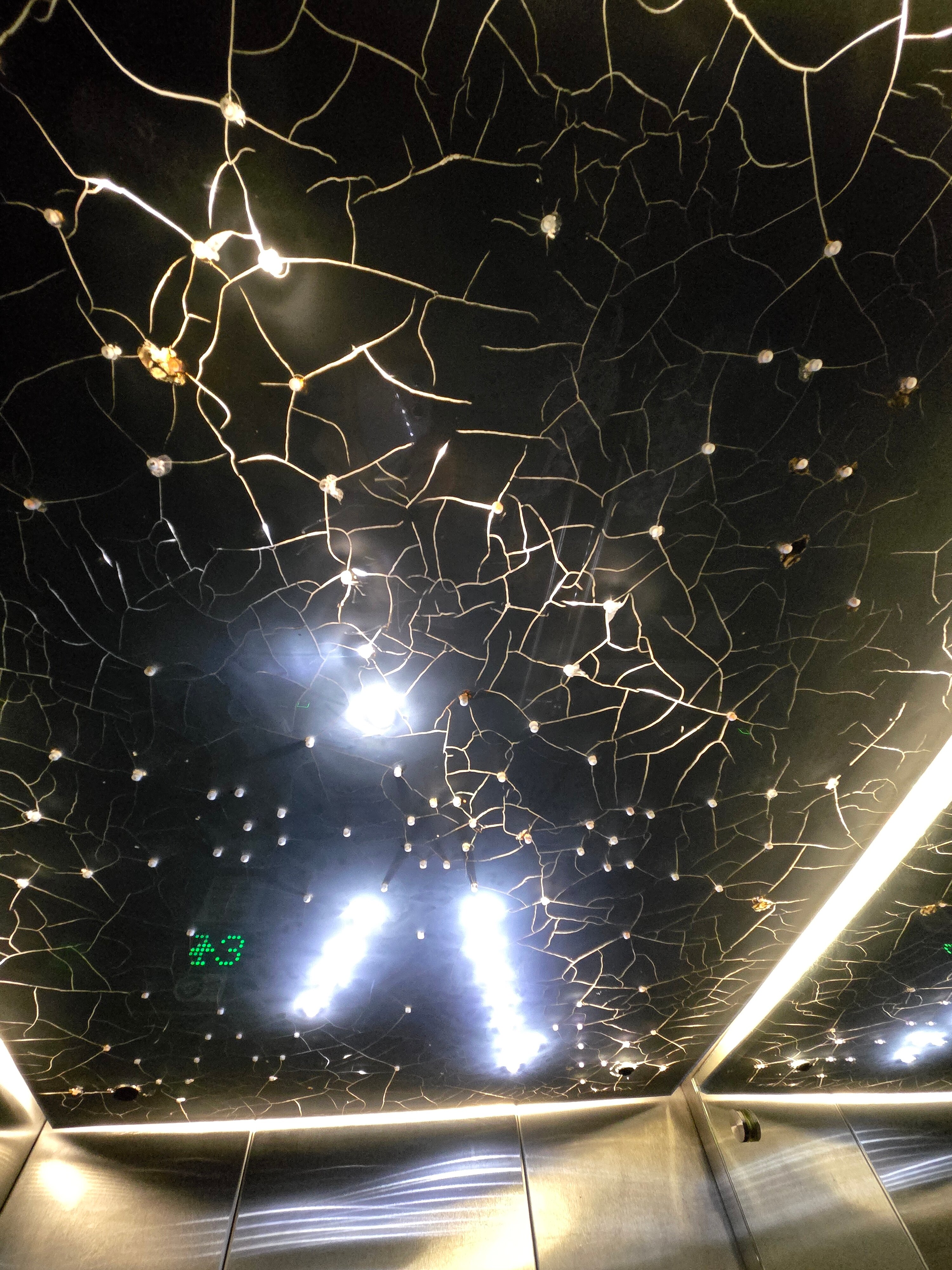 塞德林格托酒店-浴室