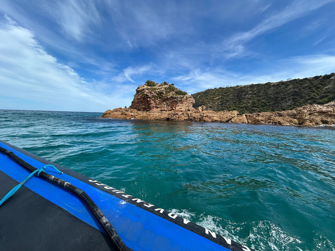 Ocean Adventures Phillip Island景点图片
