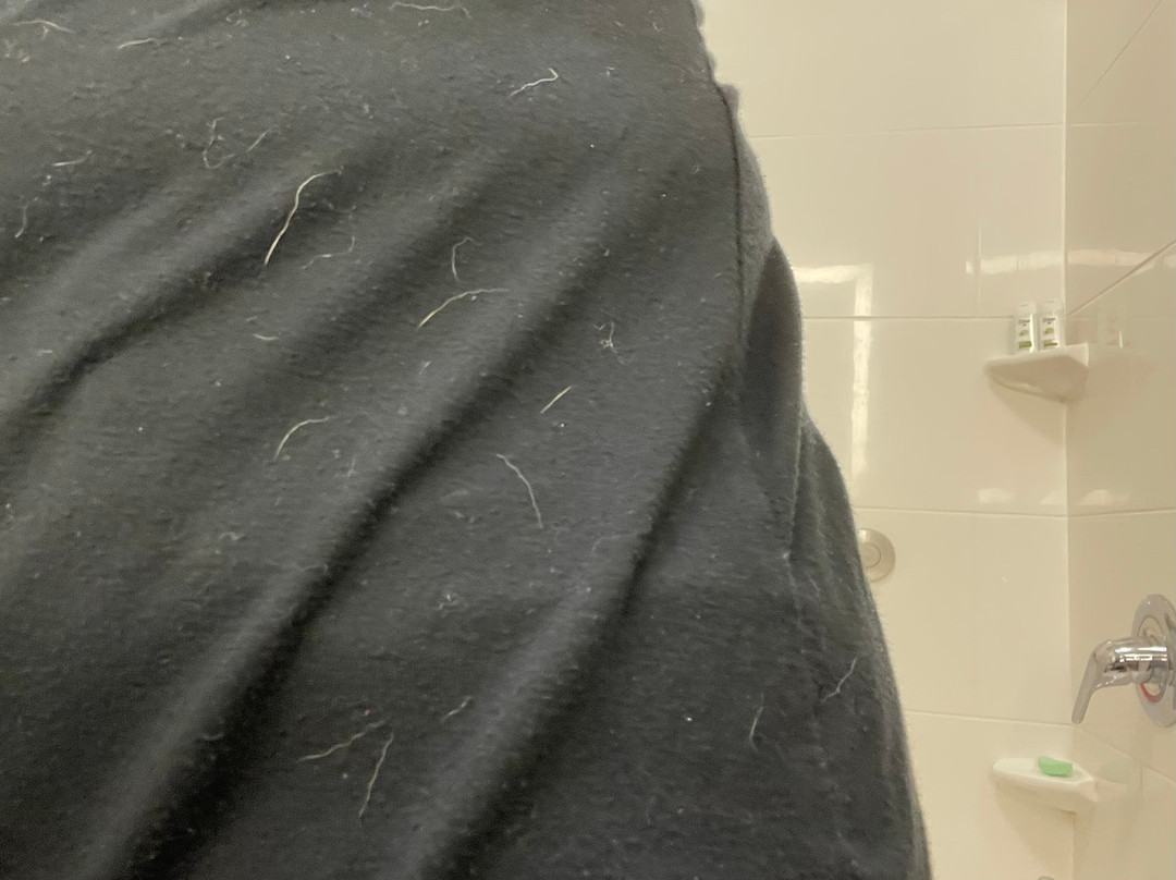 La Quinta Wichita Falls Texas主图