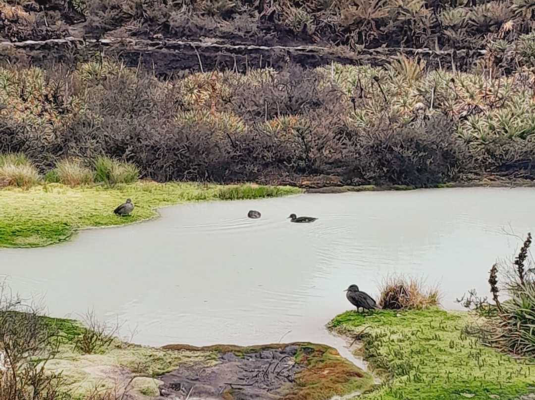 Parque Nacional Natural Puracé