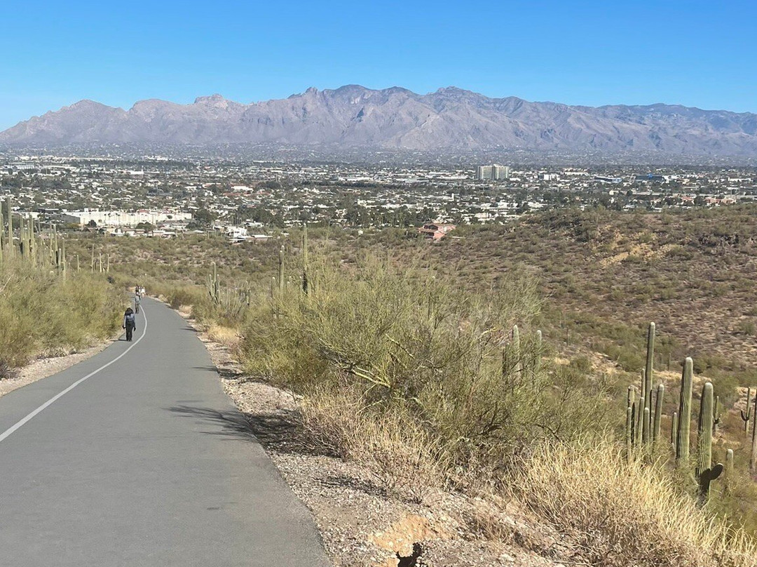 Tumamoc Hill-图森必去景点