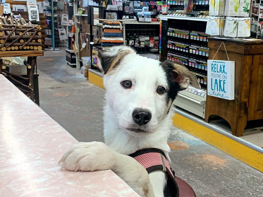 Joy & Co.-大马雷必去景点