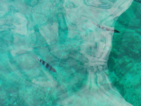 Fragawills Tour Operateur-弗力克昂弗雷克必去景点