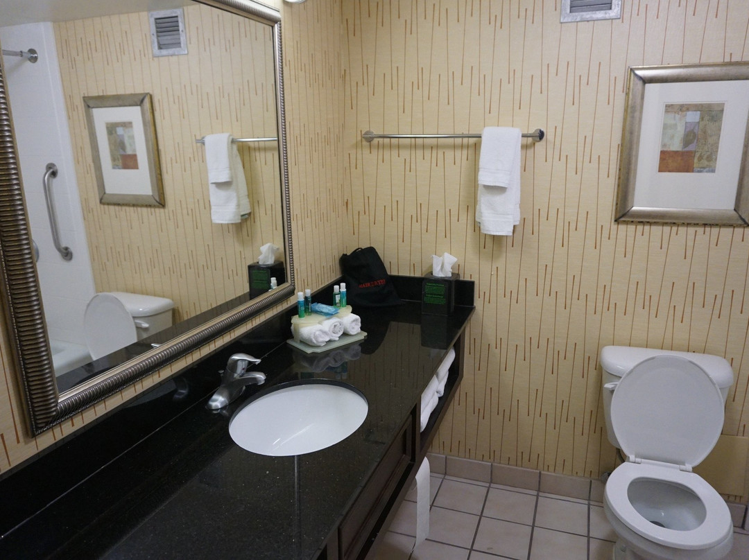 Holiday Inn Express Charleston-civic Center By IHG主图