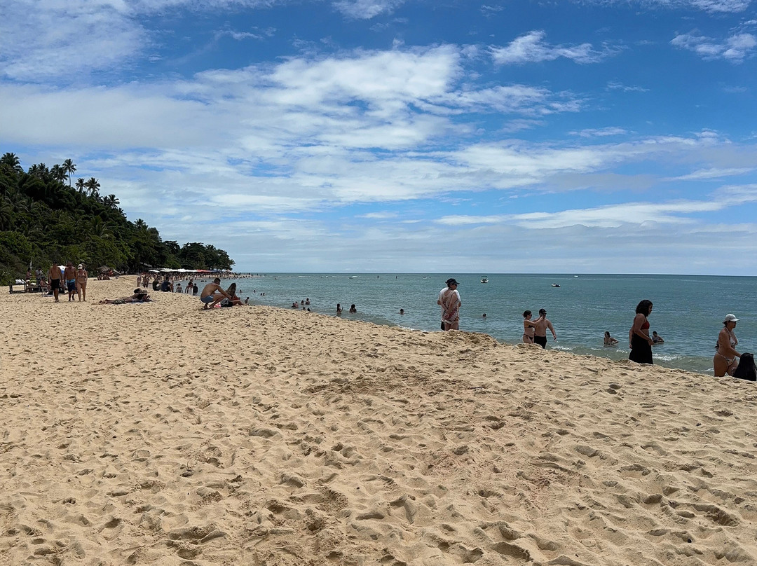 Praia de Pitinga-Arraial d'Ajuda必去景点