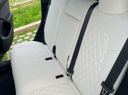 VIP Tesla Driver Paris-鲁瓦西必去景点