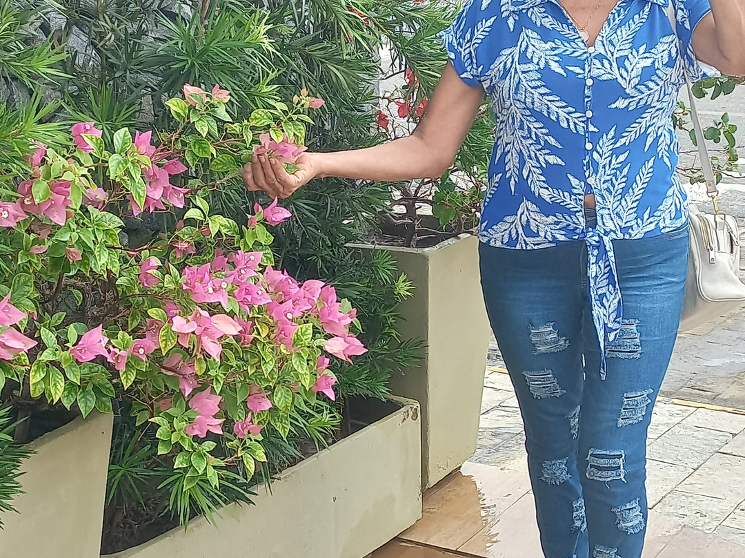 Nord Easy Patos主图