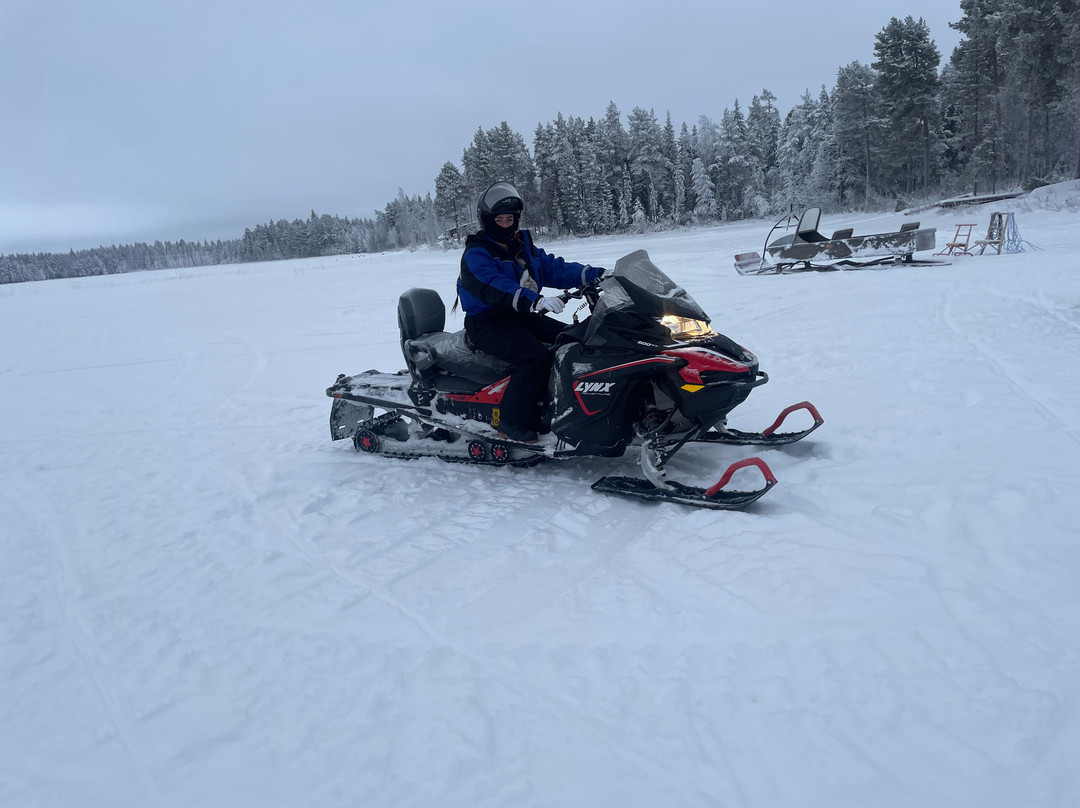Unique Reindeer Farm-Kemijarvi必去景点