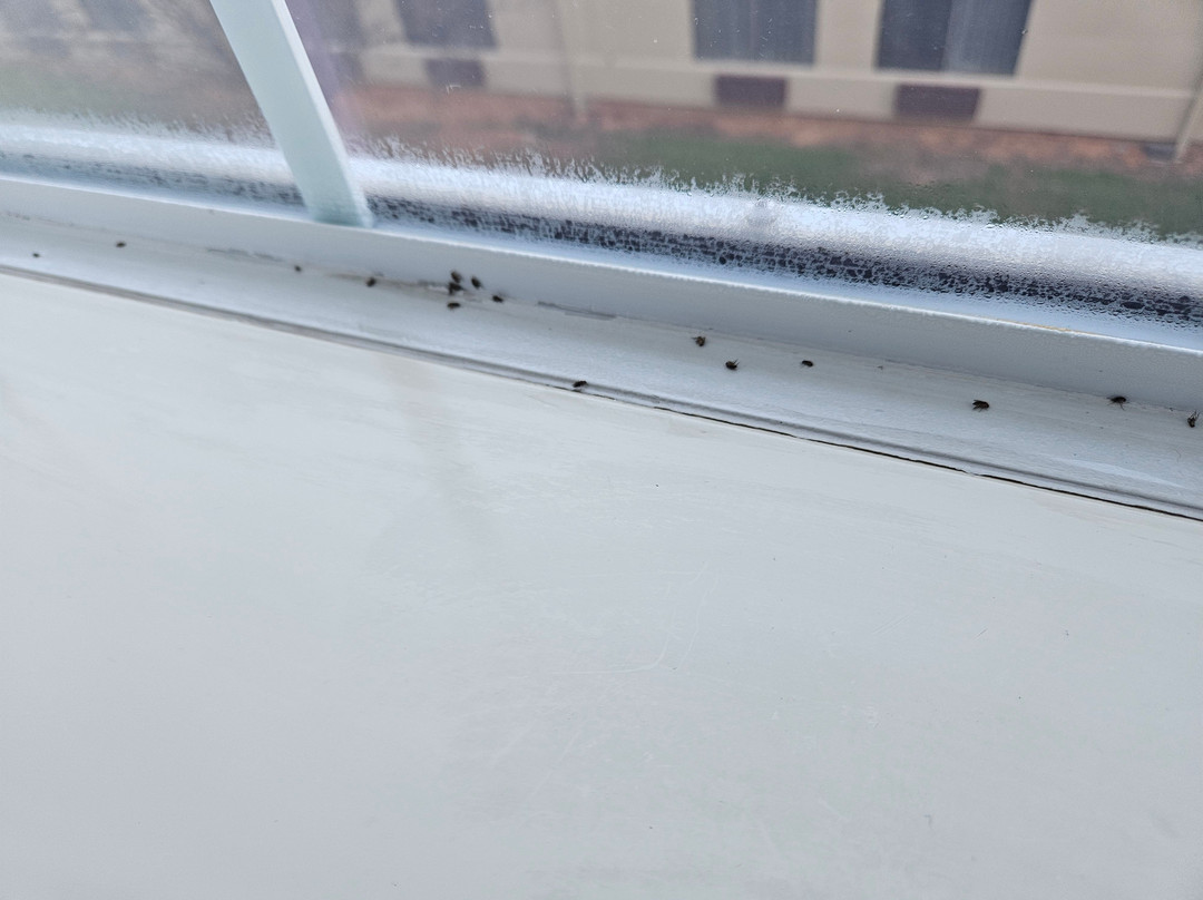 Granbury 拉昆塔旅馆及套房酒店主图