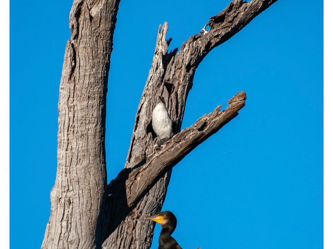 Balyang Sanctuary-季隆必去景点