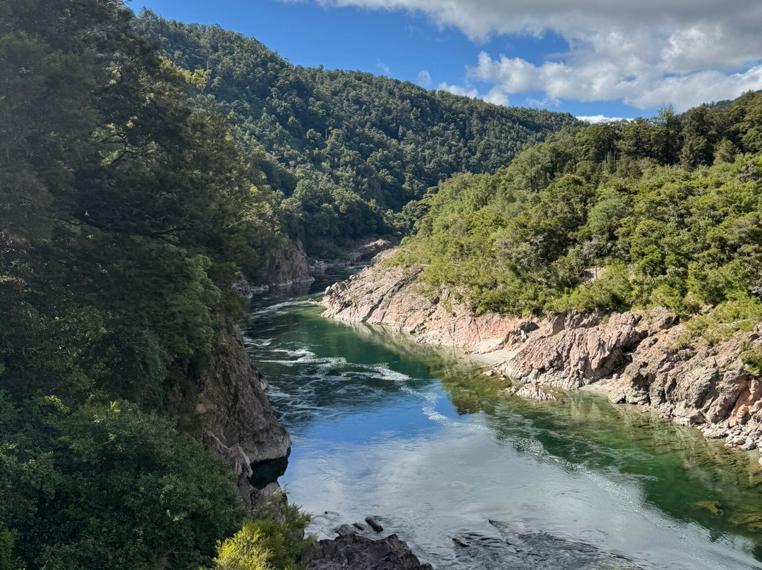 Buller Gorge Swingbridge Ltd景点图片