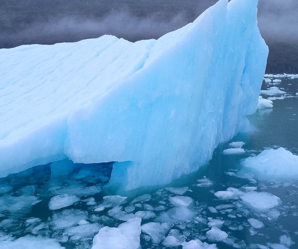 Canales Australes-Tortel必去景点