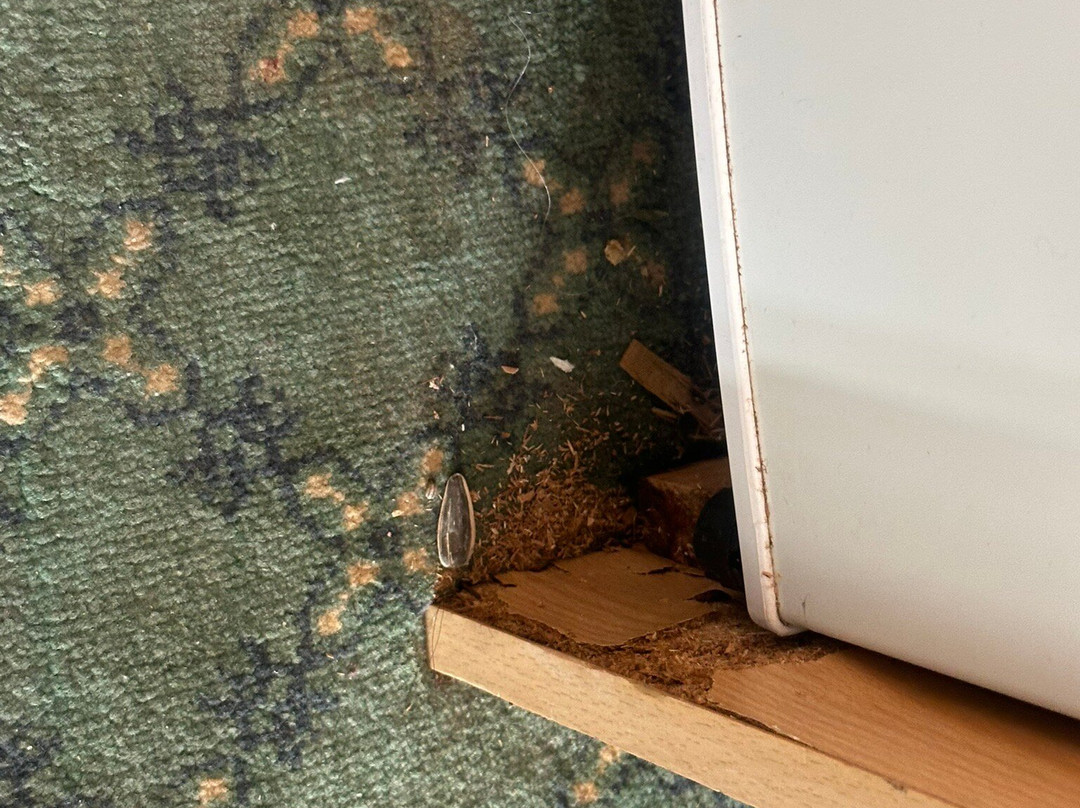 El Mouradi Hammam Bourguiba主图