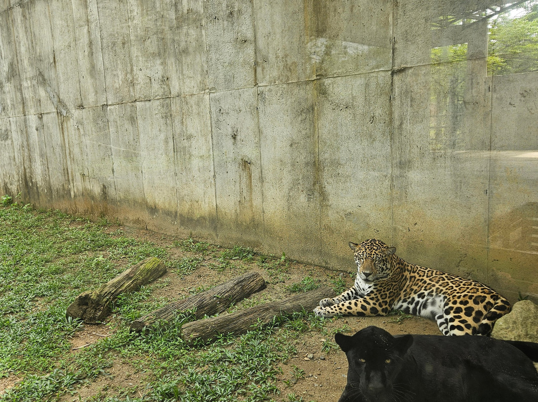Langkawi Nature Park-Kampung Belanga Pechah必去景点