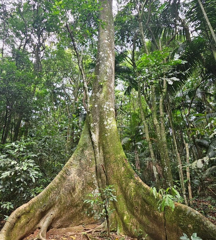 Pico Do Jaraguá-圣保罗必去景点