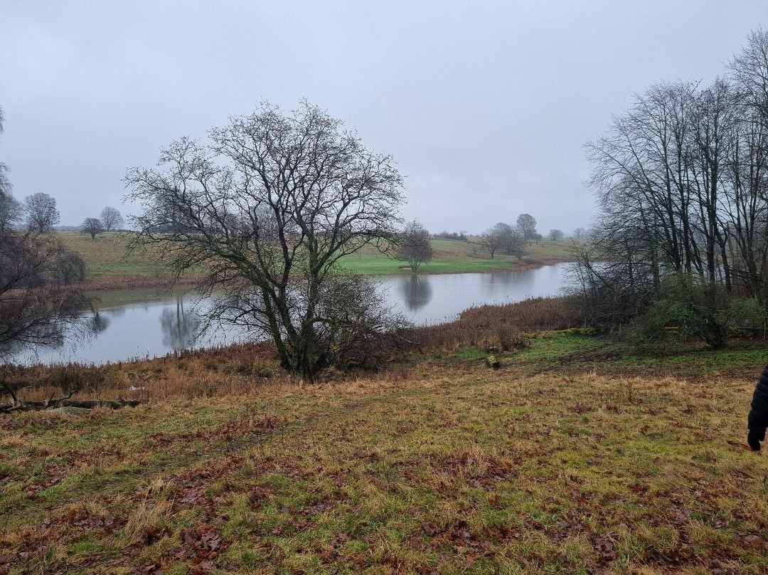 Kungsmarken