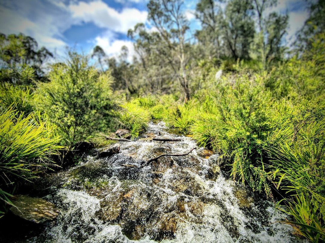 Morton National Park景点图片
