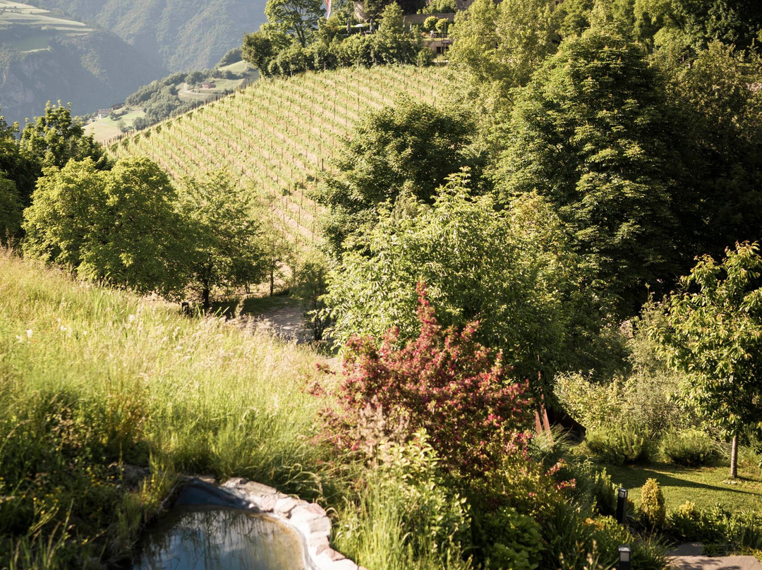 Presulis Hideaway Apartments & Restaurant主图