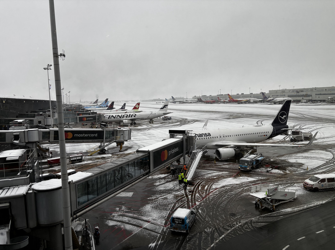 THE LOFT by Brussels Airlines and Lexus景点图片