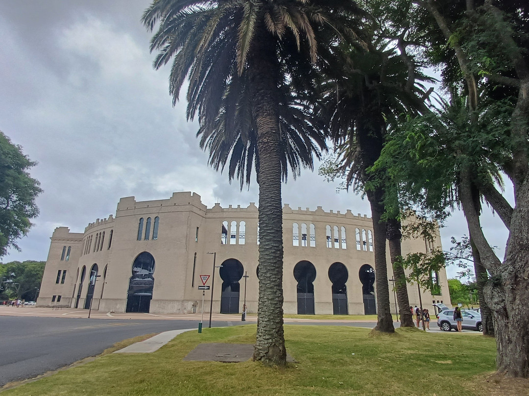 Plaza de toros Real de San Carlos-科洛尼亚·德尔萨克拉门托城必去景点