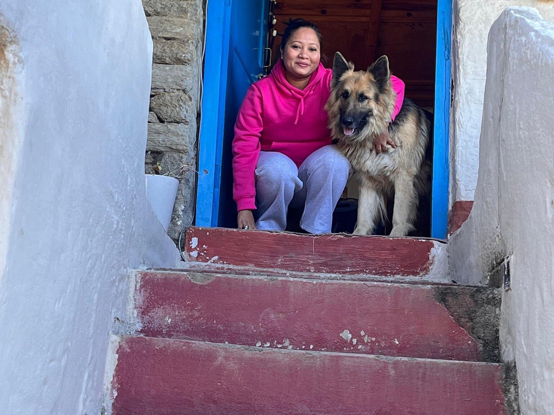 Shivaya Since 1953主图