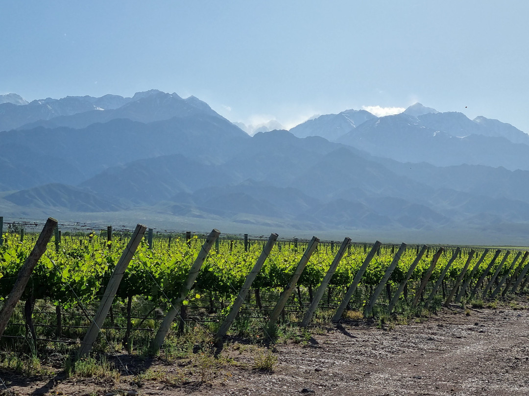 La Morada Lodge主图