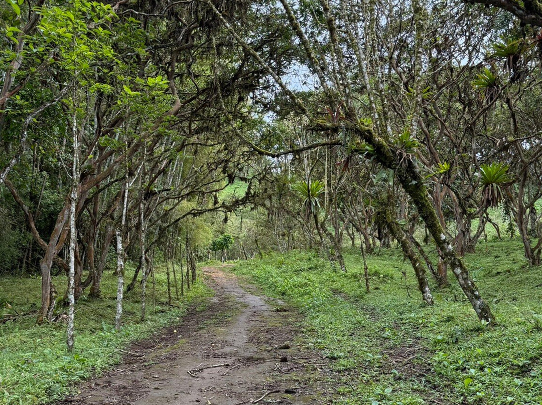 Yellow House Hiking Trails-明多必去景点