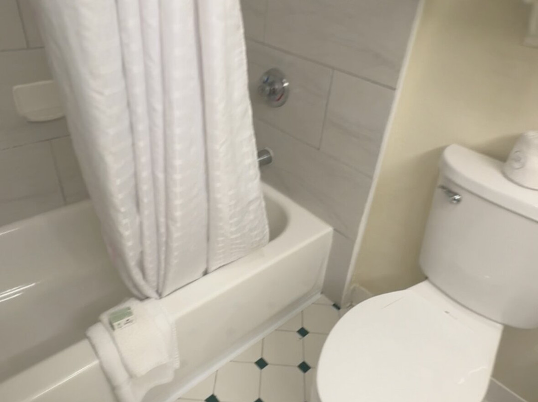 La Quinta Inn & Suites by Wyndham USF主图