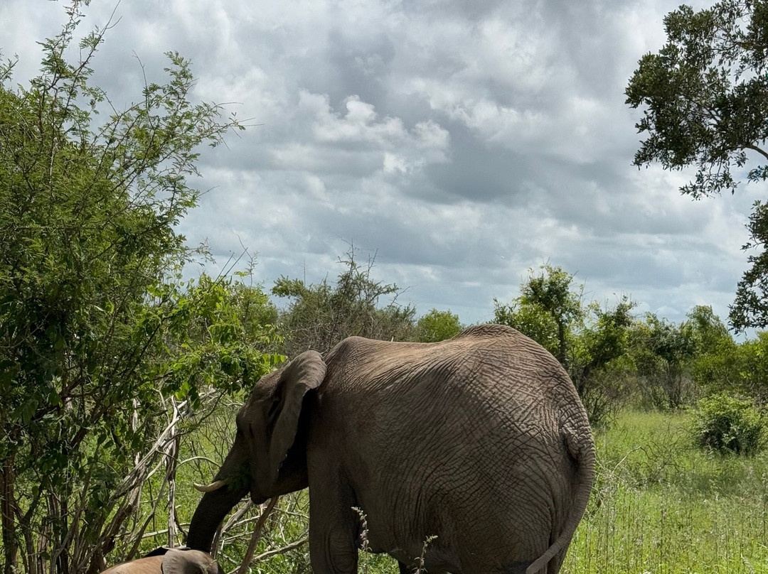 Into Africa life changing experiences-Seronera必去景点