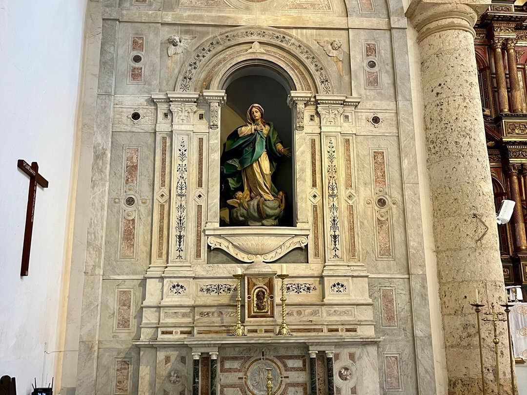 Catedral Santa Catalina de Alejandria-卡塔赫纳必去景点